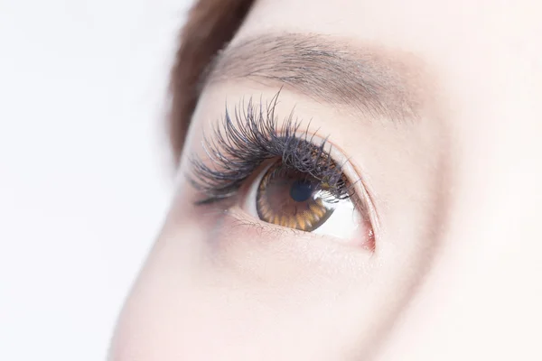Belo olho feminino — Fotografia de Stock