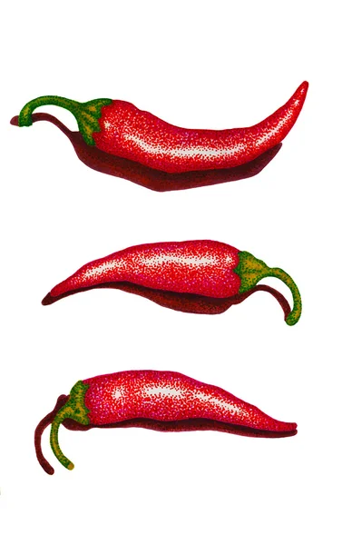 Red Chili Peppers feltpen illustration — Stock Photo, Image