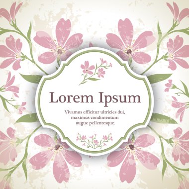 Chickweed çiçekler ile arka plan.