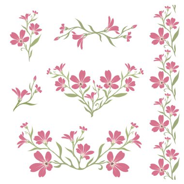 Chickweed grafik çiçek siluetleri