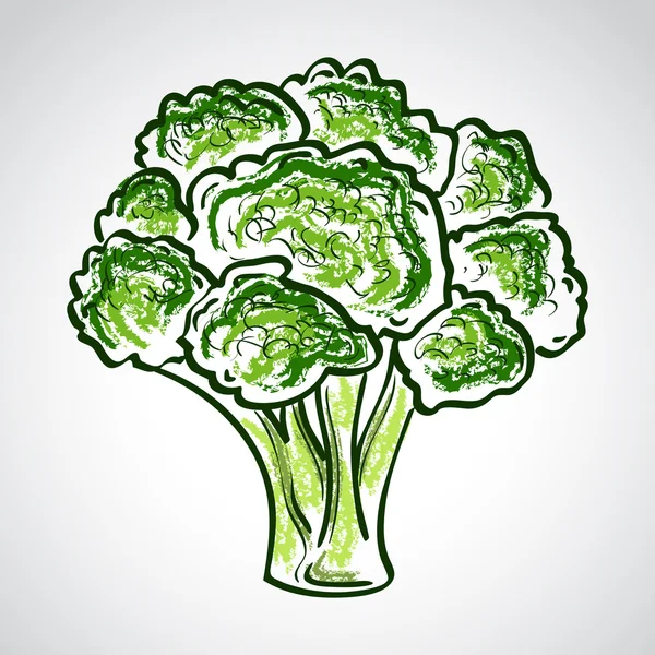 Atristic ilustración vectorial dibujado a mano de brócoli — Vector de stock