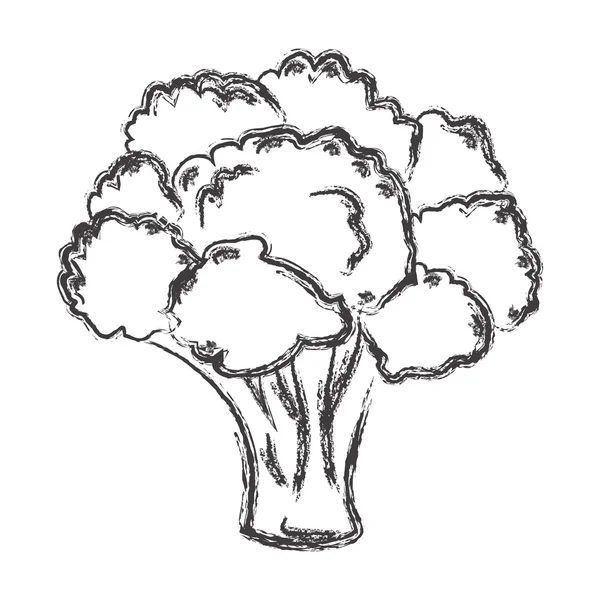 Atristic hand dras vektor illustration av broccoli — Stock vektor