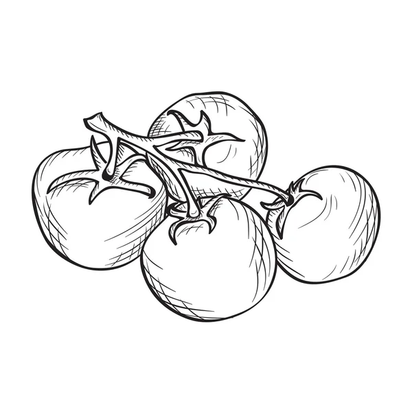 Illustration tristement dessinée à la main de tomate — Image vectorielle