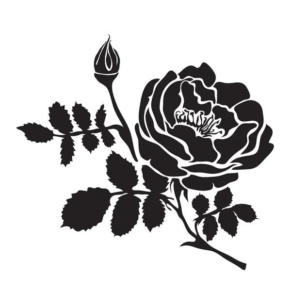 開いた花とつぼみのシルエット バラ支店 — ストックベクタ