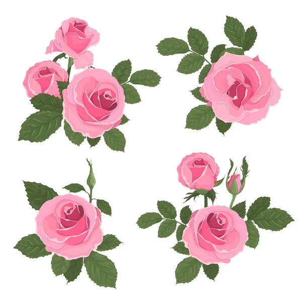 Pink roses bouquet with leaves — Stock Vector