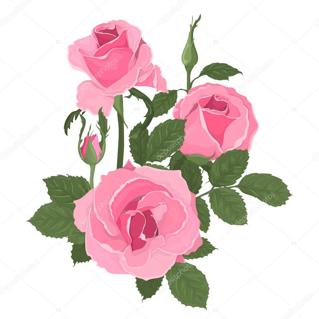 Pink roses bouquet with leaves