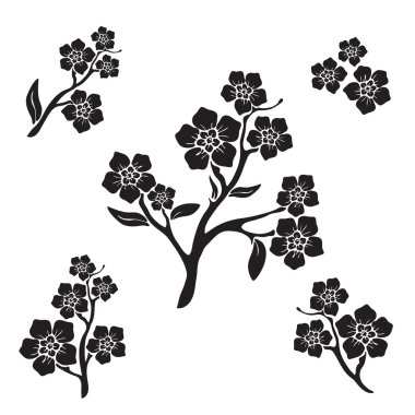 Unutma (myosotis) grafik çiçekler