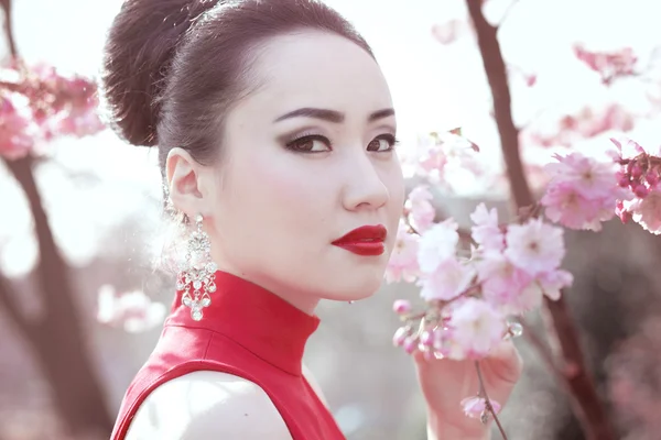Крупный план портрета азиатки, гуляющей в цветущем саду сакуры — стоковое фото