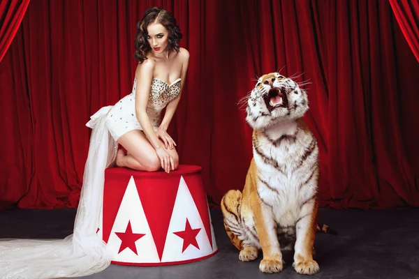 Bella femmina in posa con tigre ruggente sul palco con tende rosse sullo sfondo . — Foto Stock