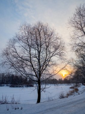 Karda kış parkı, donmuş göl kayak izleri ve karda ağaçlar.