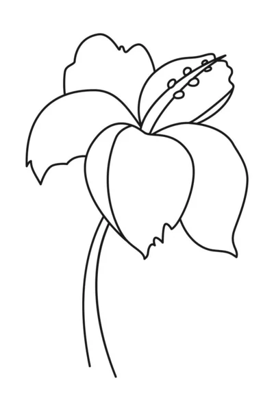 Linha de arte preto e branco cartaz flor exótica — Vetor de Stock