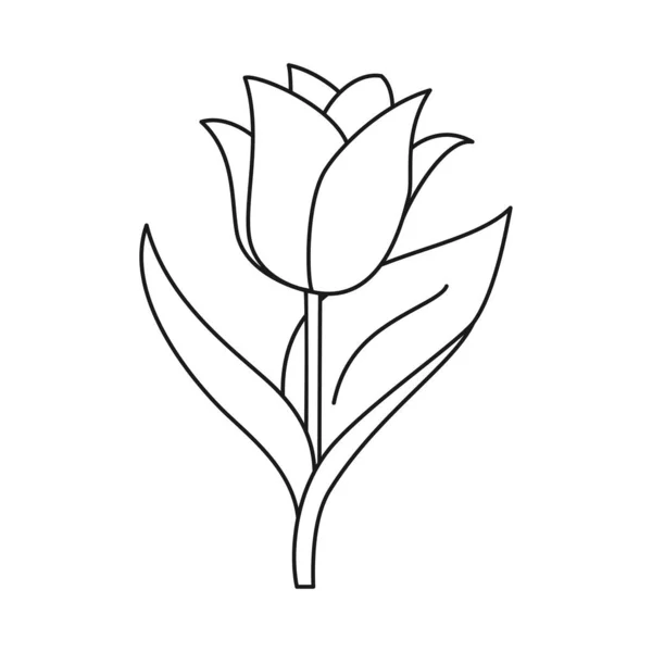 Чорно-біла одинарна квітка тюльпанів для розмальовки Ліцензійні Стокові Вектори