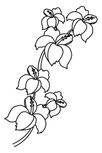 Linha de arte cartão presente preto e branco com flor exótica — Vetor de Stock