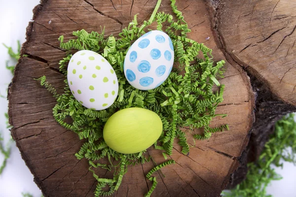 Uova di Pasqua su un ceppo di albero — Foto Stock