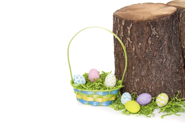 Ovos de Páscoa e cesta por toco de árvore — Fotografia de Stock