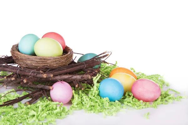 Dyed Easter eggs in a nest — Stock Photo, Image
