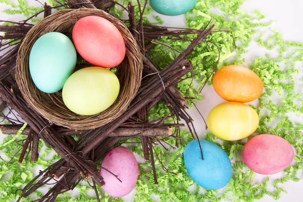 Dyed Easter eggs in a nest — Stock Photo, Image