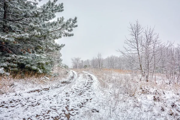 The winter etude in light tones — Stock Photo, Image