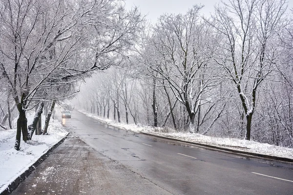 De winter etude in lichte kleuren Stockfoto