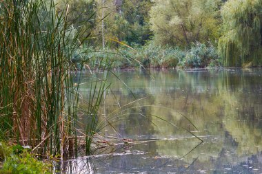 bastonla sessiz Gölü