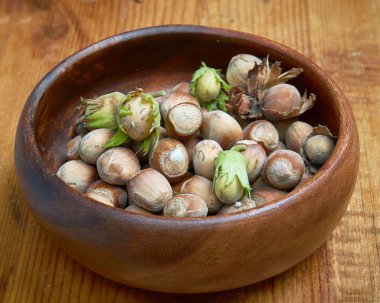 olgunlaşmış fındık nutlets