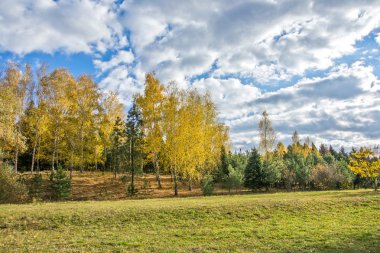 sonbahar manzarası 87