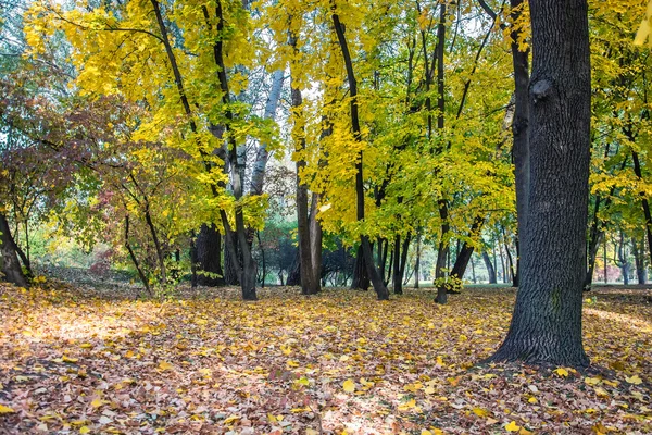 Autumn landscape 68 — Stock Photo, Image