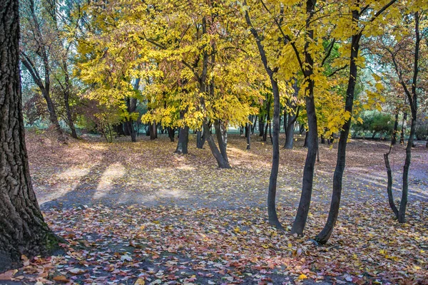 Autumn landscape 70 — Stock Photo, Image