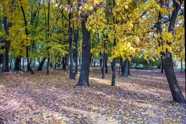 Autumn landscape 69 — Stock Photo, Image