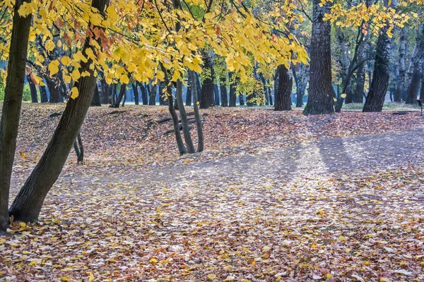 Autumn landscape 67 — Stock Photo, Image