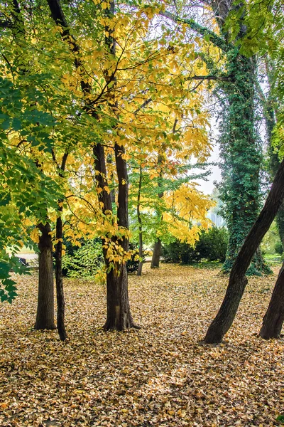 Autumn landscape 64 — Stock Photo, Image