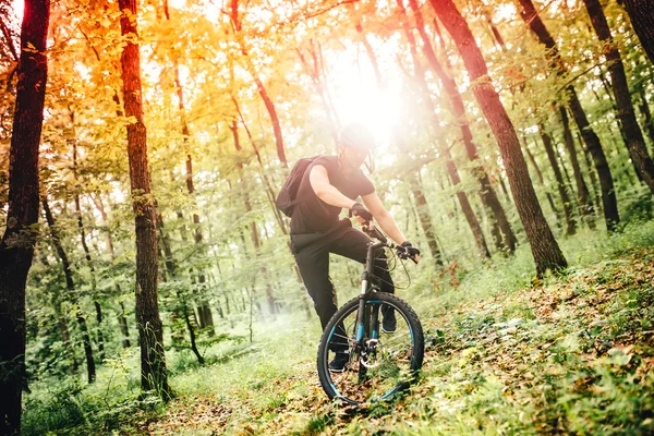 yokuş aşağı dağ izi rekabet, bisikletçi dağ bisikleti üzerinde performans