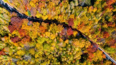 Dağlardaki orman yolunun insansız hava aracı görüntüsü. Kırsal yolu olan renkli manzara, sarı yapraklı ağaçlar.. 