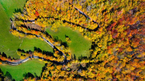 Perfect aerial drone view of forest road in the mountains. Colourful landscape with rural road, trees with yellow leaves.