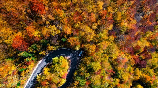 Top View Roadway Autumn Colors — Stock Photo, Image