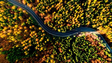 Dağlardaki dolambaçlı orman yolunun hava aracı görüntüsü. Kırsal yolu olan renkli manzara, sarı yapraklı ağaçlar..