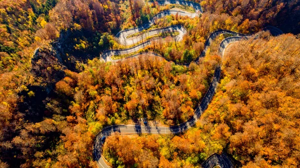 Vista Aérea Estrada Curvilínea Bela Floresta Outono Pôr Sol Vista — Fotografia de Stock