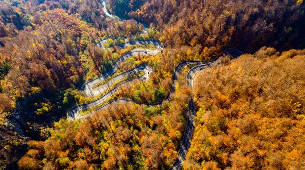 Vista Aérea Estrada Curvilínea Bela Floresta Outono Pôr Sol Vista — Fotografia de Stock