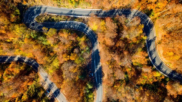 Vista Aérea Drones Del Sinuoso Camino Forestal Las Montañas Paisaje — Foto de Stock