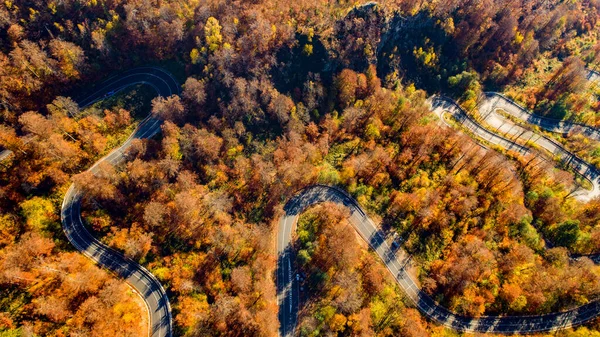 Vista Aérea Estrada Curvilínea Bela Floresta Outono Pôr Sol Vista — Fotografia de Stock