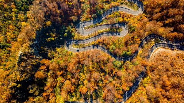 Aerial View Curvy Road Beautiful Autumn Forest Sunset — Stock Photo, Image
