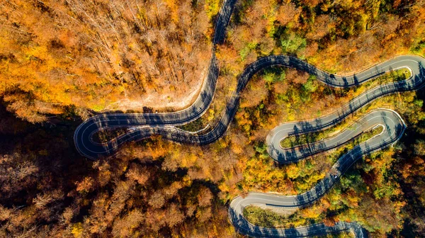Drone View Winding Forest Road Mountains Colourful Landscape Rural Road — Stock Photo, Image