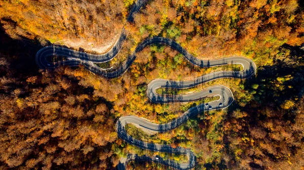 Stunning Aerial View Road Curves Crossing Dense Forest Autumn Colors — Stock Photo, Image