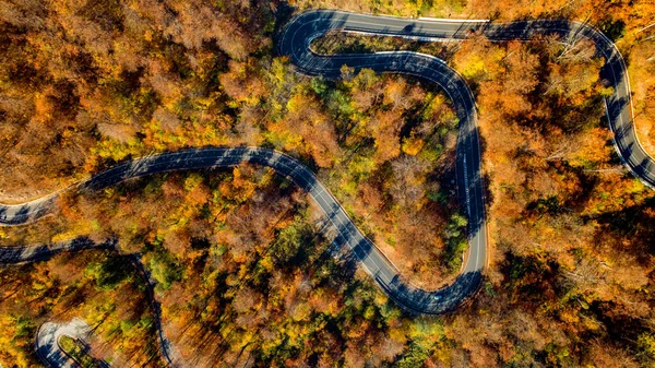 Aerial View Road Curves Crossing Dense Forest Autumn Colors Aerial — Stock Photo, Image