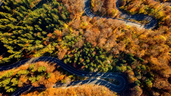 Αεροφωτογραφία Του Πυκνού Δάσους Φθινόπωρο Δρόμο Που Διέρχεται — Φωτογραφία Αρχείου