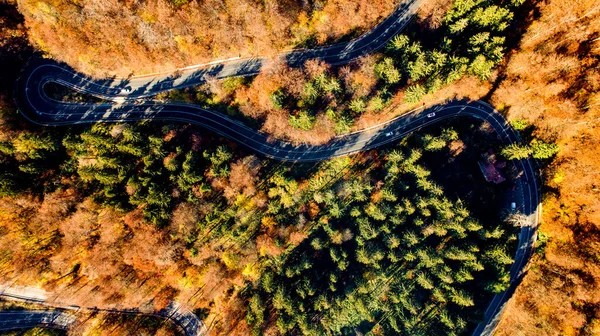 Aerial landscape of colourful landscape with light traffic, rural road, autumn trees with, yellow and orange leaves.