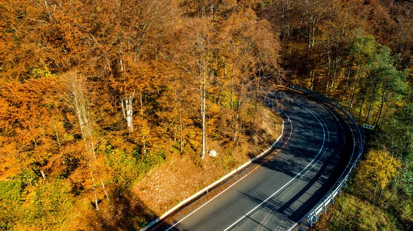 Vista Aérea Drones Del Camino Forestal Curvado Las Montañas Paisaje — Foto de Stock