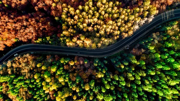 Colourful Autumn Landscape Aerial View Empty Asphalt Roads Trees Yellow — Stock Photo, Image