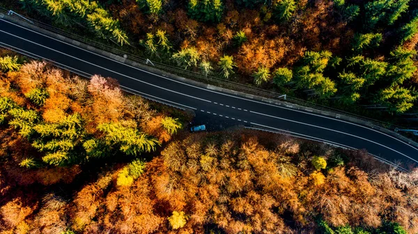 Vista Aérea Carretera Forestal Recta Las Montañas Paisaje Colorido Con — Foto de Stock