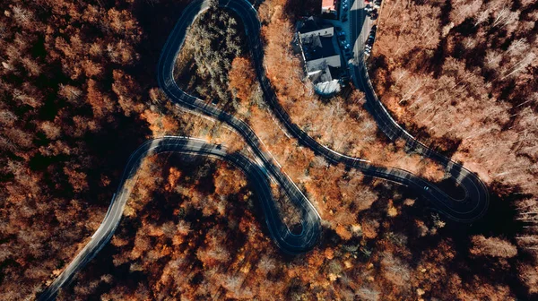 Vista Aérea Estrada Florestal Linha Reta Nas Montanhas Paisagem Colorida — Fotografia de Stock